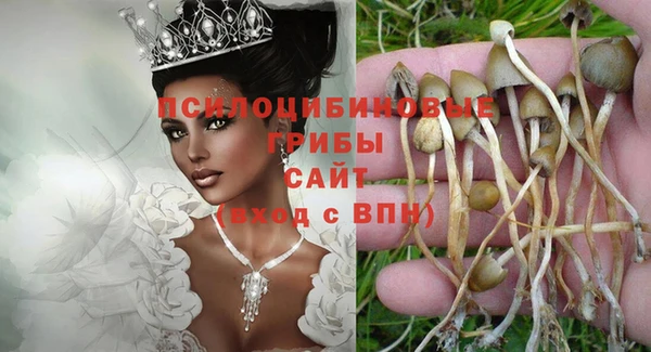 спиды Осташков