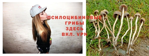 таблы Осинники